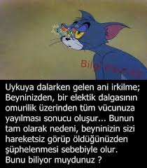 Allahin Kusursuz Duzeni Yaratisi Bilgi Alintilari Bilgi Biliyor Muydunuz