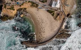 South casa beach is behind the children's pool sea wall and lifeguard station (children's pool is where the la jolla harbor seals hang out). La Jolla Children S Pool La Jolla By The Sea