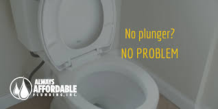 Toilet plumbing problems and solutions. Best Plumber Tips Clogged Toilet But No Plunger Try This Always Affordable Plumbing