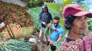 😱SUPRISING MY WIFE WITH HER DREAM CAR //SEE HER REACTION- THE WADOSI  FAMILY