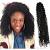 Long Crochet Curly Hair