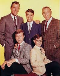 My Three Sons My Three Sons Television Show Old Tv Shows
