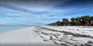 Sin embargo, hay algunos consejos que debes tomar en cuenta antes de viajar a. Soak Up The Sunshine State At These Tampa Florida Campgrounds