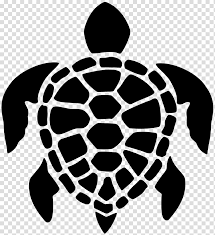 Turtle Transparent Background Png Cliparts Free Download Hiclipart To move turtle, there are some functions i.e in this article, we will see how to draw a smiling face emoji using the turtle module. turtle transparent background png