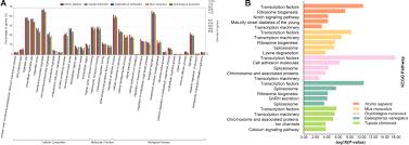 Rodents, lagomorphs, treeshrews, colugos and primates. Frontiers Comparison Of The Microsatellite Distribution Patterns In The Genomes Of Euarchontoglires At The Taxonomic Level Genetics