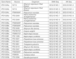 Image result for Tectaria fernandensis