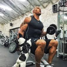 23 Ridiculous Things The Rock Does That No Normal Person Can The Rock Dwayne Johnson Dwayne The Rock Dwayne Johnson