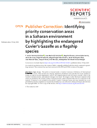 Image result for Embelia welwitschii