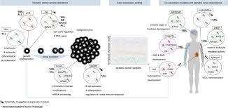 As a leader in the national fight against childhood cancer, we speak for the needs of families and survivors, and in doing so, we help shape policy, research, and programs, nationally and internationally, that affect the lives of. Depicting The Genetic Architecture Of Pediatric Cancers Through An Integrative Gene Network Approach Scientific Reports