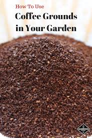 Learn The Ways You Can Use Coffee Grounds In The Garden See How To Use Coffee Grounds As Garde Uses For Coffee Grounds Coffee Grounds Garden Garden Fertilizer