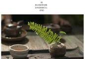 Image result for 呂英儒空間