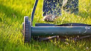 9 Mowing Tips For The Best Lawn On The Block The Grass Is Always Greener Especially If You Follow These Usef Lawn Care Spring Lawn Care Cottage Garden Design