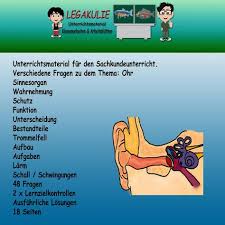Hsu Ohr Klassenarbeiten Schulunterricht Und Lernen