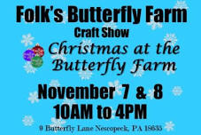 Christmas at the Butterfly Farm