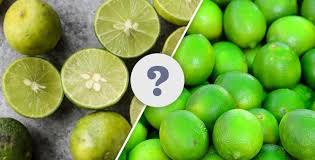 What Is The Difference Between Limes And Key Limes Key Lime Key Lime Cookies Keylime Pie Recipe