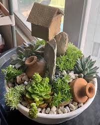 Enjoy succulent delivery with the succulent garden is a lovely and adaptable arrangement. Facebook