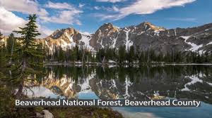Montana's National Forests