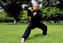 Maybe you would like to learn more about one of these? Tang Lang Quan Northern Praying Mantis