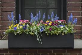 Find deals on hanging window box planters, free standing window box planters and more. Flowers For Window Boxes Sun And Shade Loving Plants The Old Farmer S Almanac
