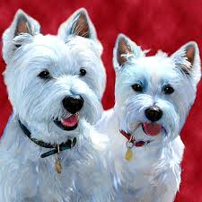 Westie dog art West highland terrier