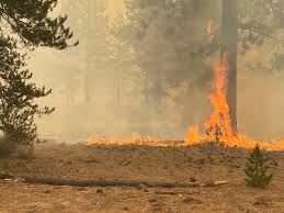 High winds expected on monday make the challenge of extinguishing the flames even more difficult for firefighters, as the fire is just 14% contained, according to the california department of forestry and fire protection. B4k9yynetipmnm