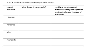 Solved 5 Fill In This Chart About The Different Types Of