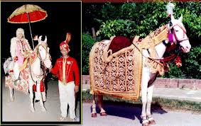 Decorated Horse