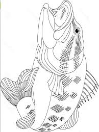 The largemouth bass is the most popular freshwater game fish in the u.s. Bass Fish Coloring Pages Download And Print Bass Fish Coloring Pages