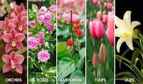 I get paid $9.15 an hour. Say It With Flowers Mcdonald Garden Center