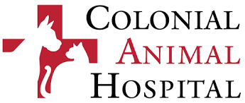 Check spelling or type a new query. Pet Emergency Hospitals Near Me 22150 Colonial Animal Hospital