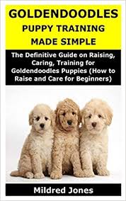 The key to training success is you! Goldendoodles Puppy Training Made Simple The Definitive Guide On Raising Caring Training For Goldendoodles Puppies How To Raise And Care For Beginners Jones Mildred 9798643462347 Amazon Com Books