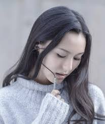 Amazon.com: Mi in-Ear Headphones Pro HD Silver : Electronics