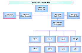 Organisation Chart For Medical Transcription