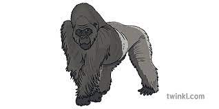 Famous authors & writers worksheets. Silverback Gorilla With No Bowtie Gorilla Colouring Pages Ks1 Ver 1