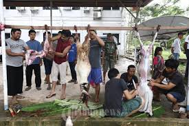 Voir cette épingle et d'autres images dans brainfood par shaffir sulaiman. Download Gambar Suasana Hari Raya Idul Adha