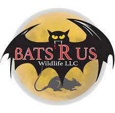 Prices may vary depending upon the type of pest, area involved, and level of damage. Bat And Flying Squirrel Exclusion Bats R Us Wildlife Llc Ct