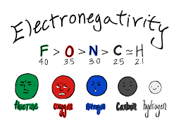 That makes ch4 a nonpolar molecule. Polar Vs Nonpolar Bonds Overview Examples Expii