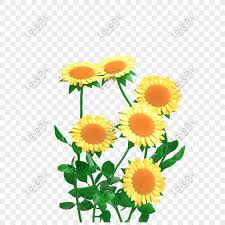Grafis jaringan portable portable grafik bunga bunga matahari gambar bunga kartun. Kartun Bunga Matahari Png Grafik Gambar Unduh Gratis Lovepik