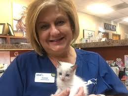 VCA Carrollton Animal Hospital