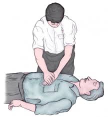 They also require a good supply of nutrients and the rapid removal of. Cardiopulmonary Resuscitation Cpr Practice Essentials Preparation Technique