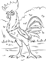 Hi guys hei hei coloring page is hd wallpaper and size this wallpaper is 463x349. Heihei From Moana Coloring Page Free Printable Coloring Pages For Kids
