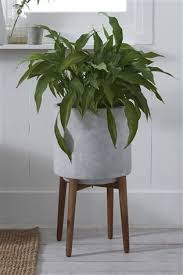 Small garden plant pots and planters if you're looking for decorative pots for your small house plants, check out our vast range of indoor plant pots. Buy Tall Concrete Planter With Wooden Legs From The Next Uk Online Shop Tall Planters Planters Indoor Plant Pots