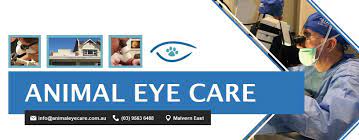 Alternatively, you can complete and submit the form below. Animal Eye Care Home Facebook