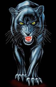 Human, since i already am an animal. Animal Wallpaper Cool Iphone Black Panther 723x1105 Wallpaper Teahub Io