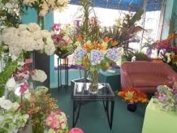Stamford florist is a stamford based flower shop. Wedding Flowers