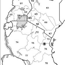 Image result for Pilea sublucens