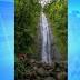 Hiker injured at Manoa Falls dies