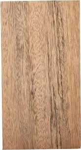 Image result for Pachylobus