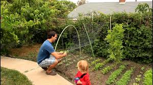 Check spelling or type a new query. Easy And Simple Cucumber Trellis For Vertical Growing By The California Gardener Youtube
