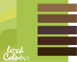 Ok Google какие цвета нужно смешать чтобы получился коричневый Cvet Lajm I Ego Sochetanie Lookcolor